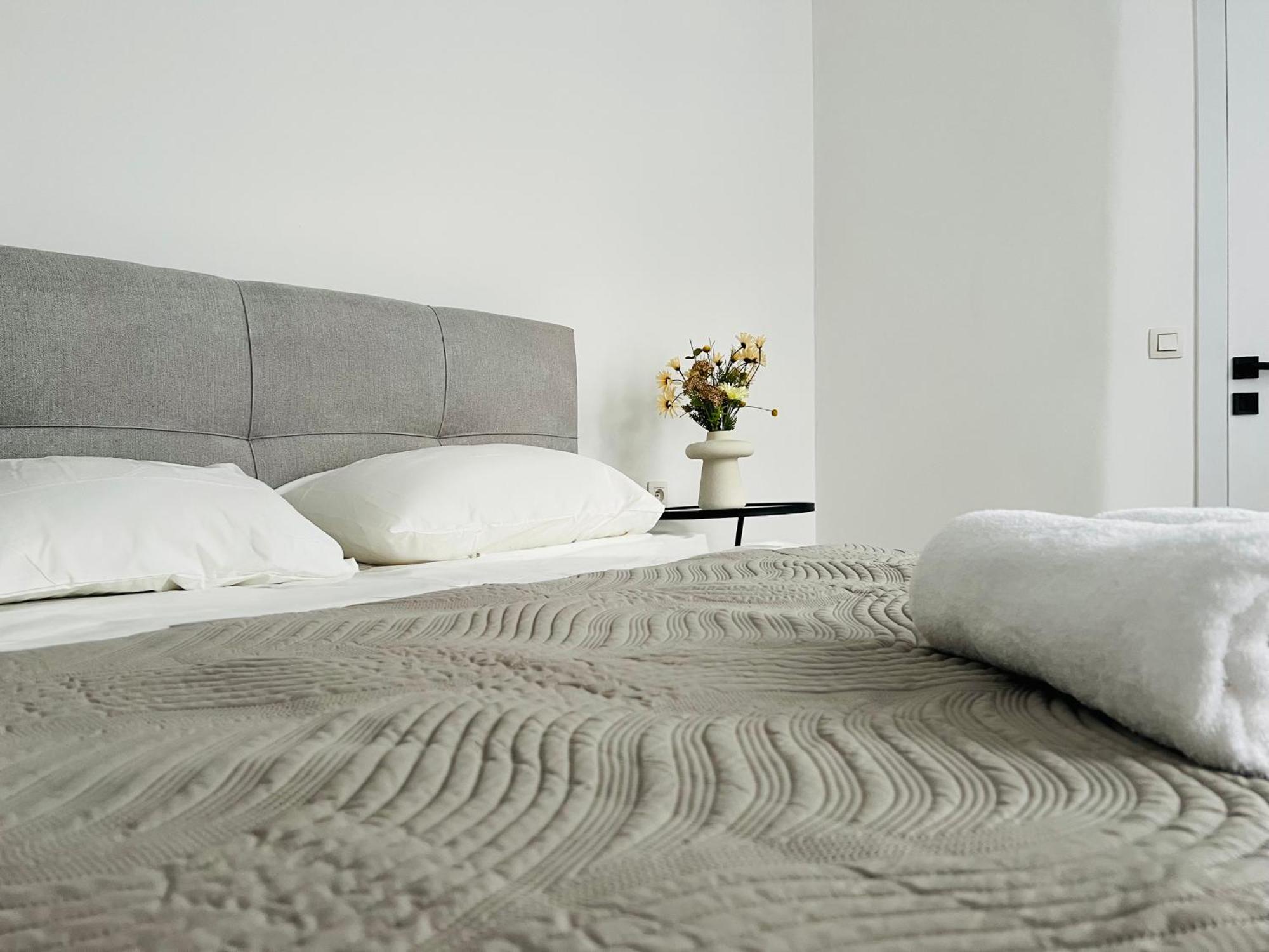 Apartment Efekt Confort *